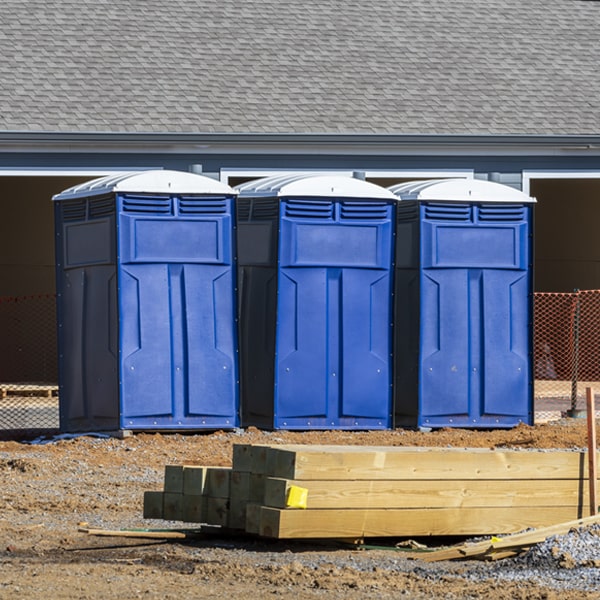 how can i report damages or issues with the portable toilets during my rental period in Montchanin